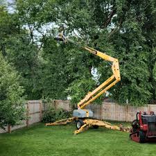 Best Weed Control  in Millbrook, NY
