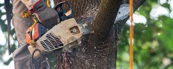 Mulching Services in Millbrook, NY
